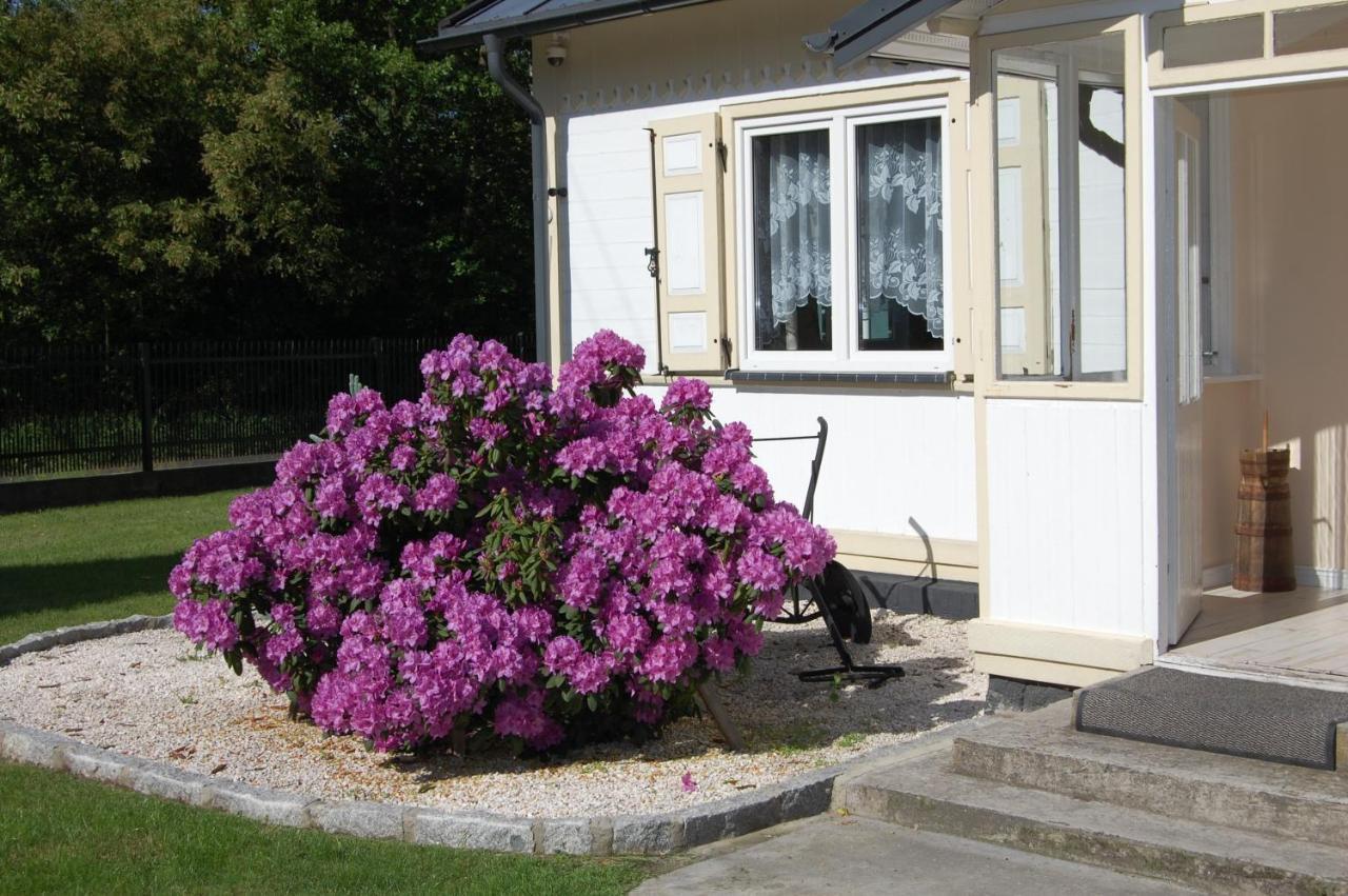 Holiday home Wypoczynek Letnia Oaza *
