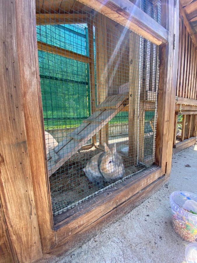 Wypoczynek Letnia Oaza Holiday home